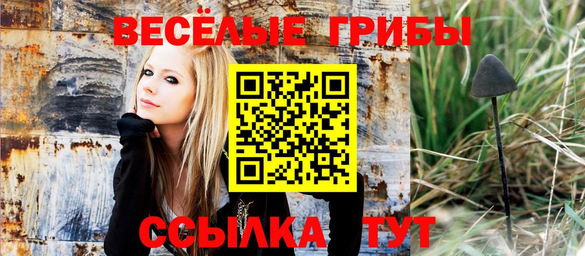 Псилоцибиновые грибы Cubensis Краснознаменск